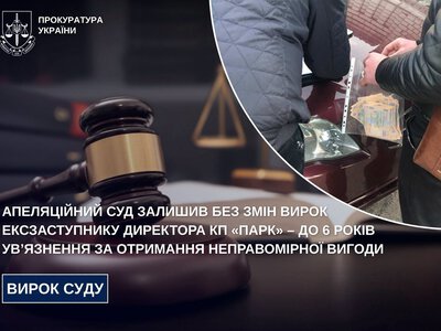 Хабарі біля паркового літака обійшлися житомирському ексчиновнику у 6 років ув’язнення
