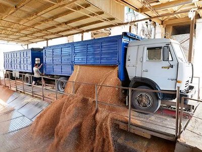 В Україні знизилася вартість доставки зерна вантажівками