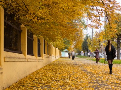 Завтра, 30 жовтня, на Буковині прогнозують до 12° тепла