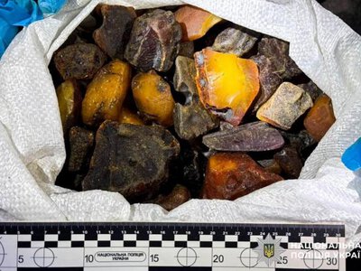 У Рівному з багажника легковика вилучили майже 130 кг бурштину