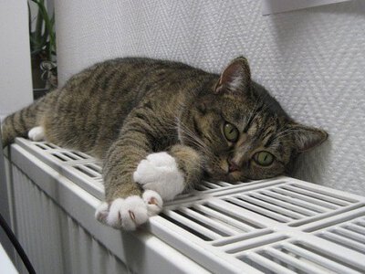 ​У Львові та Одесі назвали дати, коли розпочнуть опалювальний сезон