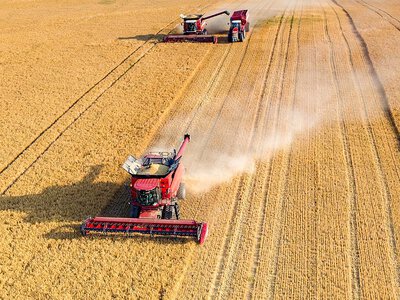 Врожайність зернових значно збільшили у 2026 попри виклики України