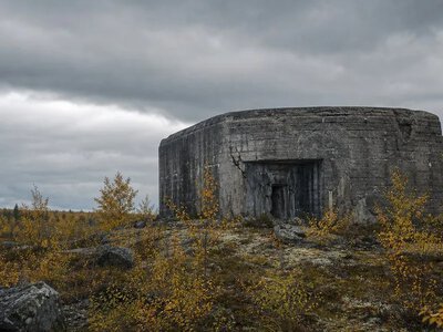 Естонія планує збудувати 150 бункерів на кордоні з Росією — Interia