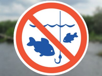  З 1 листопада на Чернігівщині розпочинається заборона на лов водних біоресурсів на зимувальних ямах 