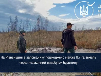 На Рівненщині в заповіднику пошкоджено майже 0,7 га земель через незаконний видобуток бурштину