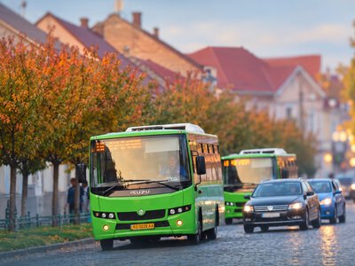 У Мукачеві 1 листопада до кладовища курсуватиме додатковий автобус