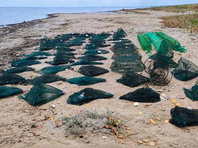 На озері Синове з незаконно встановлених пасток випустили 185 раків