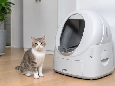 Автоматичні котячі лотки Petkit подешевшали на 100 доларів