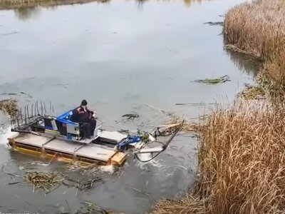 У Ковелі почали викошувати водяну рослинність на Турії
