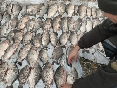 У Кременчуцькому районі виявили двох чоловіків із 57 кг незаконно виловленої риби
