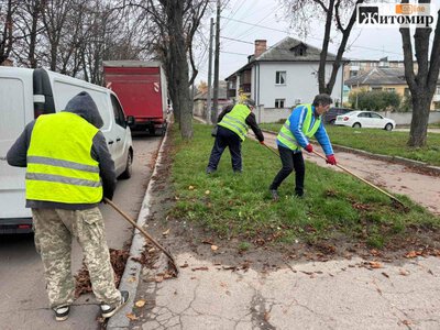 У Житомирі прибирають опале листя на міських вулицях