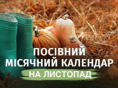 В ці дні нічого садити не можна: посівний місячний календар на листопад