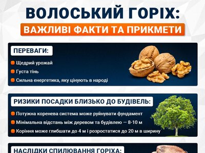 Листя волоського горіха: компост і мульча замість спалювання