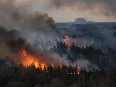 Наслідки війни для екології: Росія завдала збитків на 6 трильйонів