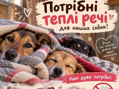 Чотирилапим вихованцям сумського притулку потрібні теплі речі 