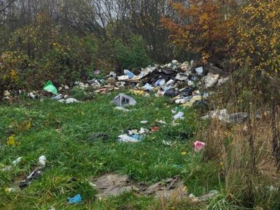 У Березнівській громаді виявили нові стихійні сміттєзвалища