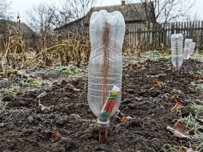 Проста хитрість із порожньою пляшкою, яка врятує ваш майбутній урожай навесні