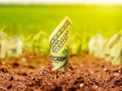 Середня ціна гектара землі в Україні у 2026 році зросла майже до 71 тисячі гривень