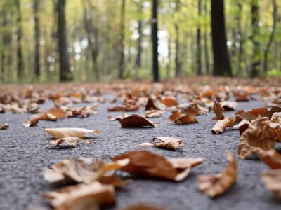 Дощі відступлять, а холод наближатиметься: якою буде погода в Україні на вихідних