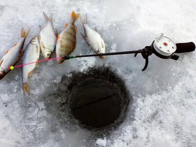 На Сумщині з 1 листопада заборонять вилов риби на зимувальних ямах