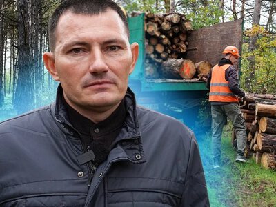 Жителі Миколаївщини придбали понад 65 тисяч кубів дров у 2026 році