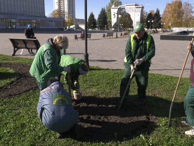 Понад 150 тисяч цибулин: як у Харкові заощаджують на озелененні міста