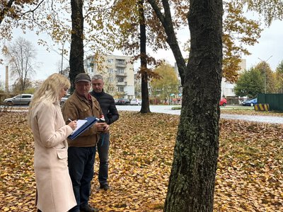 У Моршині перевірили стан зелених насаджень: де проводили обстеження