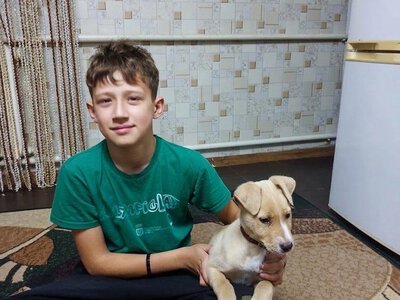 Поліція Сумщини підтримує родини загиблих колег: історія про маленьке бажання, яке здійснилося в день народження + Фото