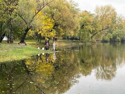 Місячний календар рибалки на листопад