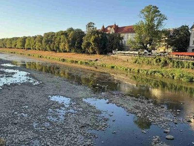 На Закарпатті попереджають про маловоддя: якою буде ситуація на річках у листопаді