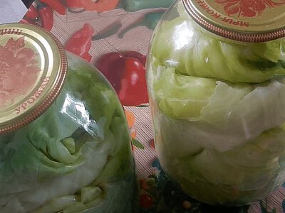 Капустяне листя для голубців зберігатиметься всю зиму: хитрий спосіб заготівлі без морозилки