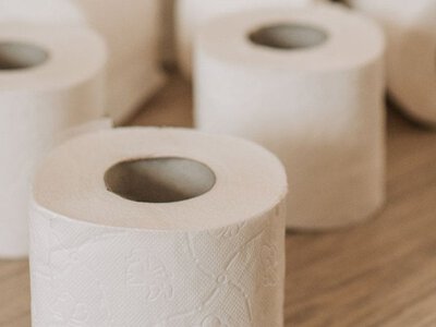 Багаті люди вішають туалетний папір інакше: опитування виявило дивну закономірність