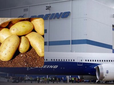 Boeing посадила в літак 9 тонн картоплі замість пасажирів: результат здивував інженерів