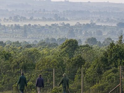 У Кенії почали аудит одержувачів компенсацій за виселення з Мау — Nation Kenya