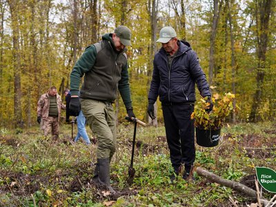 На Звенигородщині ветерани висадили майже 6,5 тисячі сіянців дерев