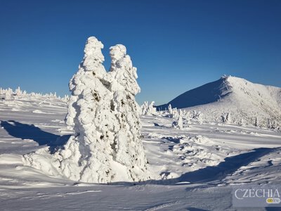У горах Чехії за вихідні може випасти до 15 см снігу — окремі моделі прогнозують до 25 см