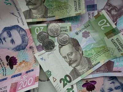 Жінку зобов’язали повернути субсидію через тривале перебування за кордоном