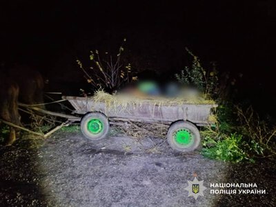 У ДТП неподалік Житомира травмовано пасажирку гужової повозки: поліцейські розпочали розслідування