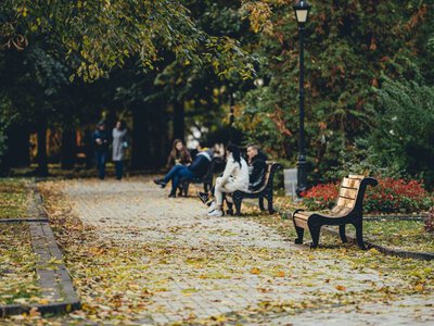 Чи здивує листопад теплом: синоптикиня про температуру повітря наступного місяця