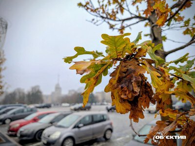 Дощ і туман. Прогноз погоди на 1 листопада у Харкові й області