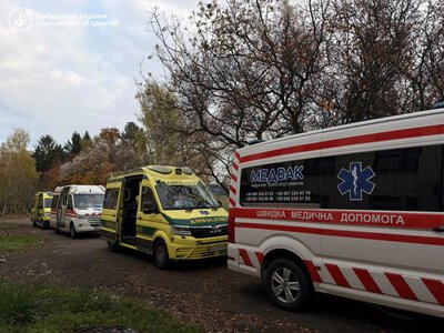 Пережили атаки дронів і ракетні удари: з Олешок вивезли людей та їхніх домашніх тварин